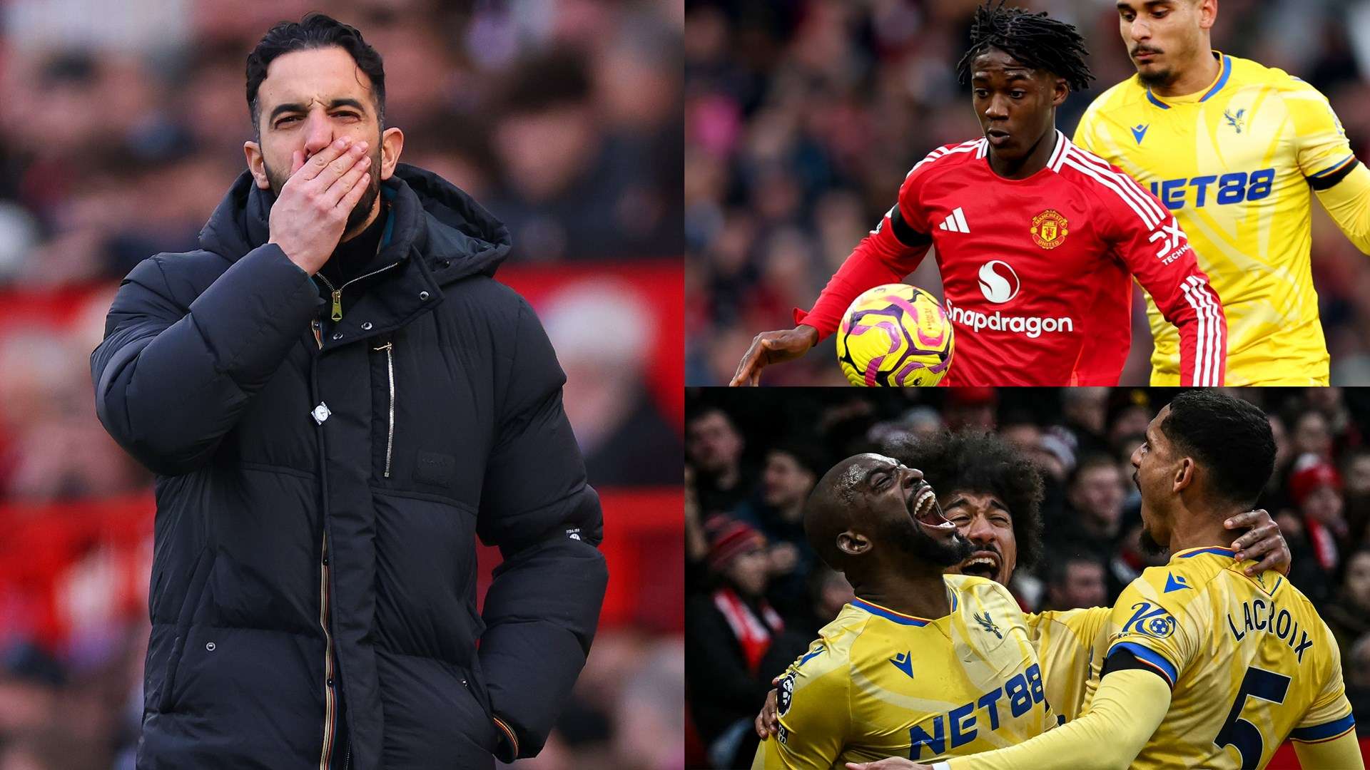 全凭他们如 全凭他们如