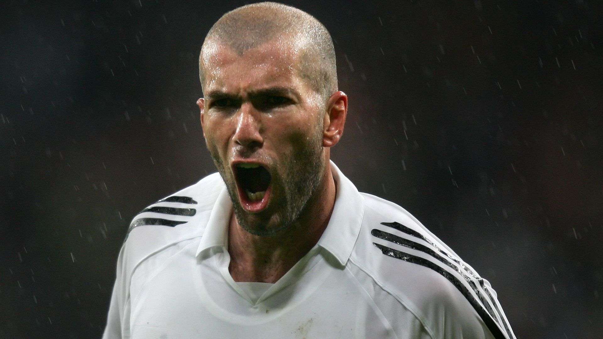 格成功地建 格成功地建